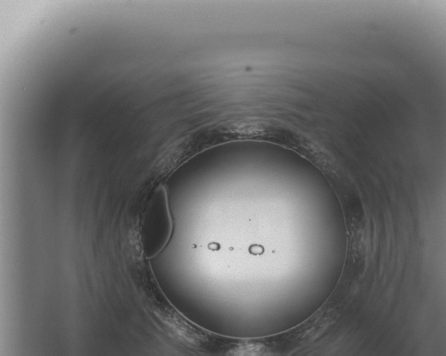 X0000068310609200604281737