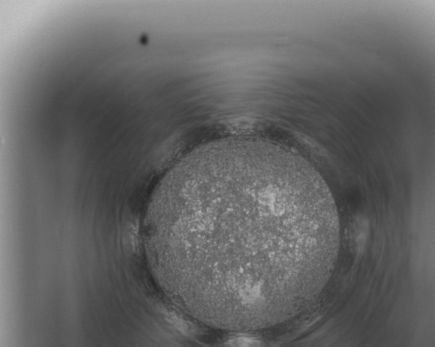 X0000068310610200604281737