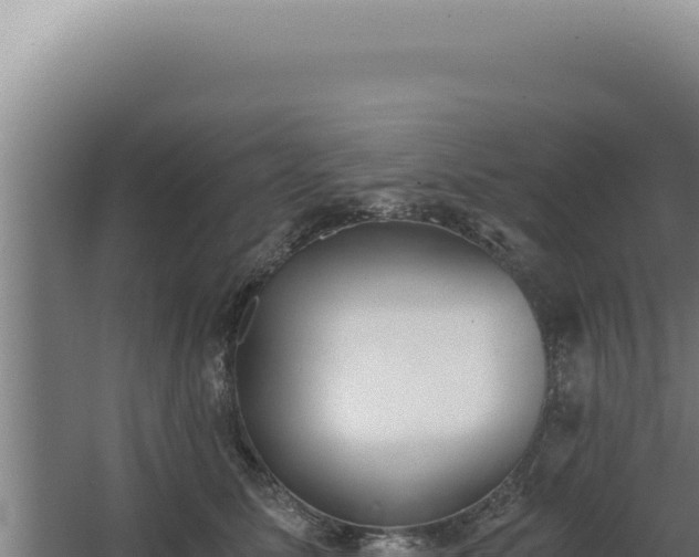 X0000068310611200604281737