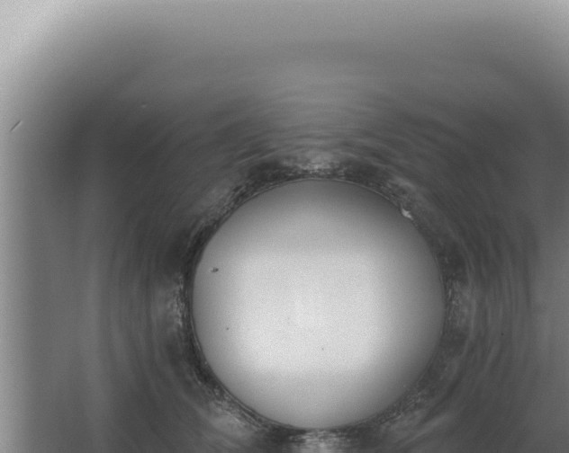 X0000068310612200604281737