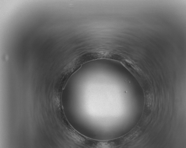 X0000068310613200604281737