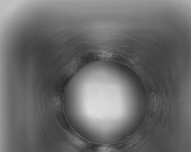 X0000068310614200604281737