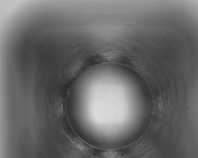 X0000068310615200604281737