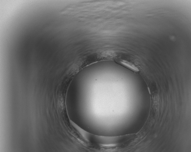 X0000068310617200604281737