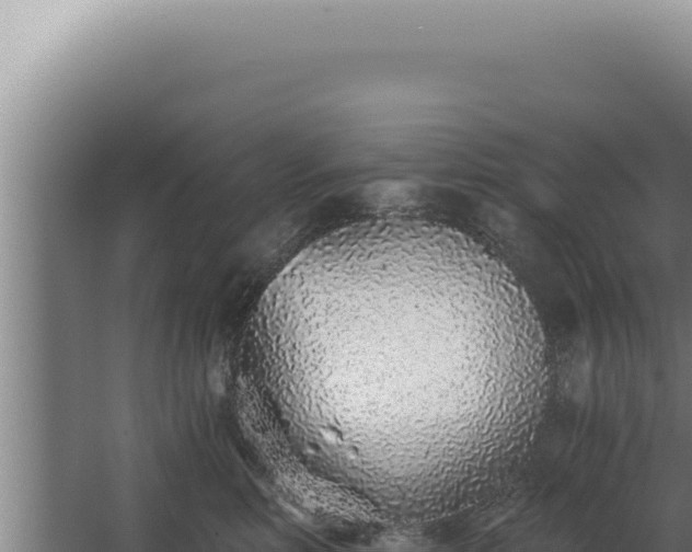 X0000068310618200604281737