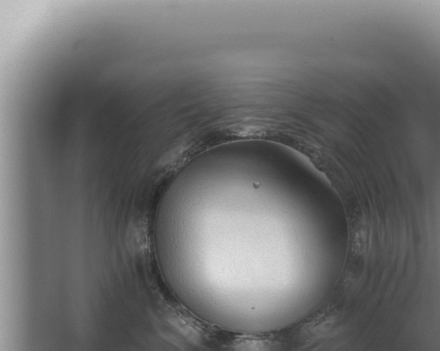 X0000068310620200604281737