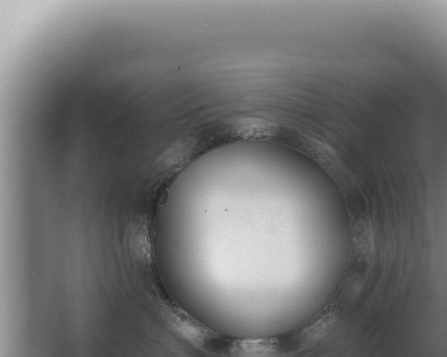 X0000068310622200604281737