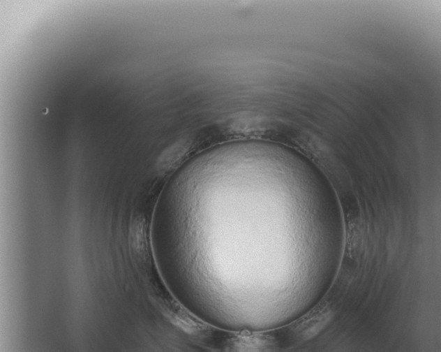 X0000068310623200604281737