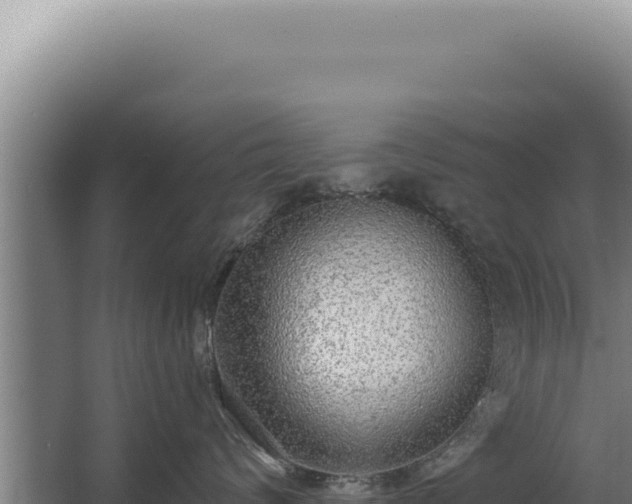 X0000068310624200604281737