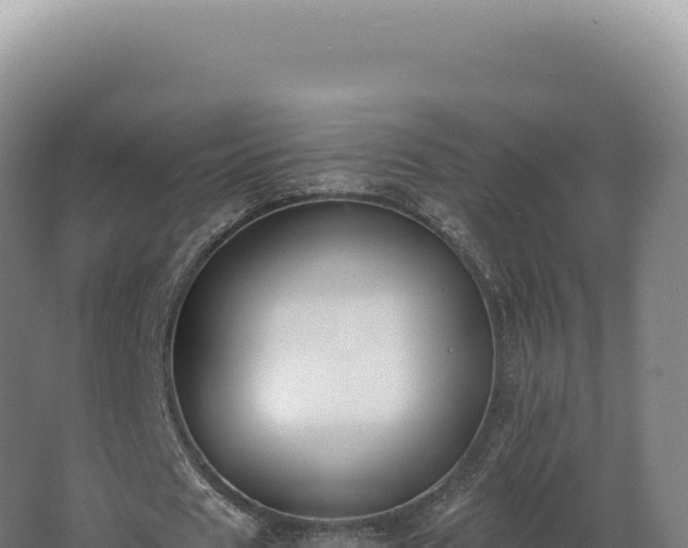 X0000068310625200604281736