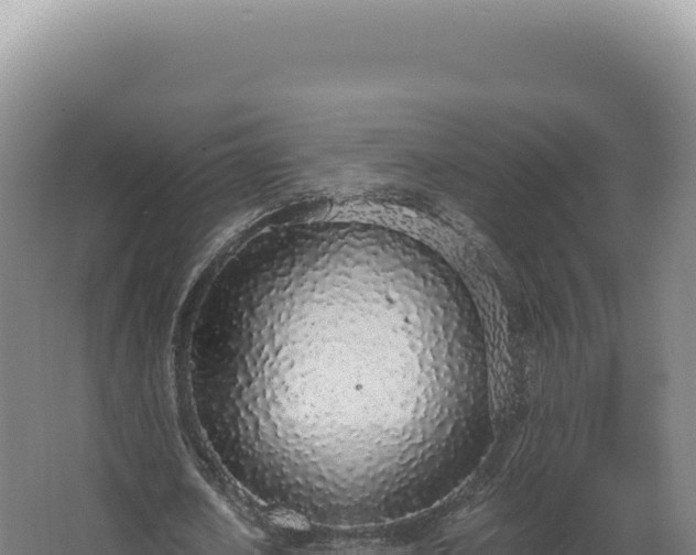 X0000068310626200604281736