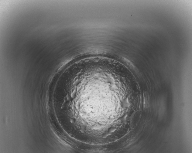 X0000068310627200604281736