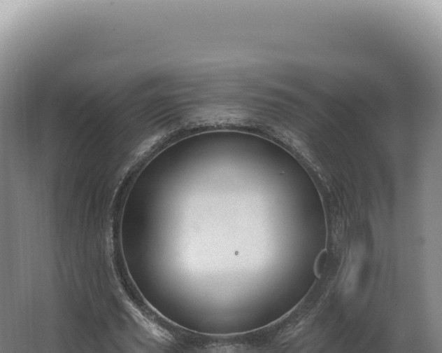 X0000068310629200604281736