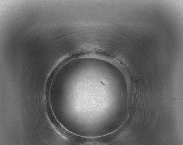 X0000068310630200604281736