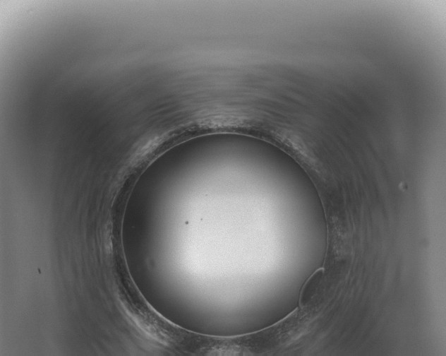 X0000068310631200604281736