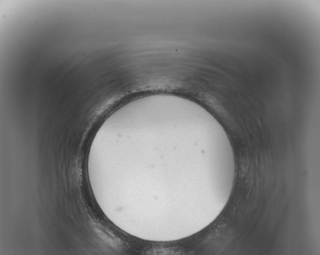 X0000068310632200604281736