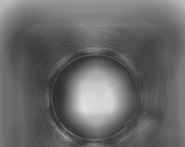 X0000068310633200604281736