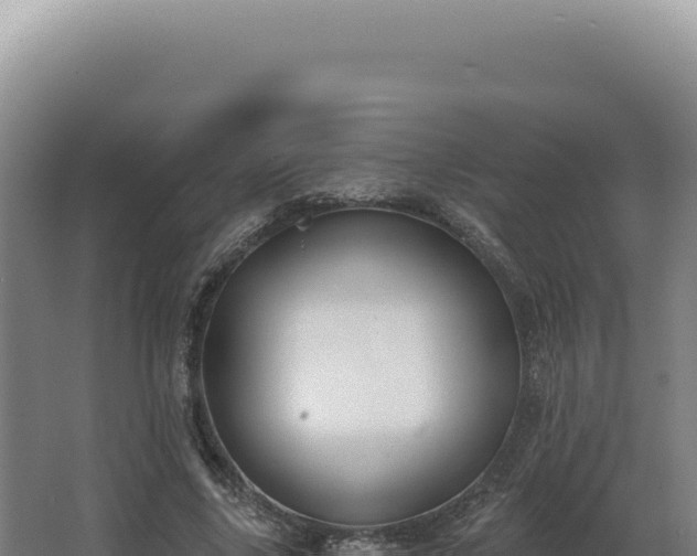 X0000068310635200604281736