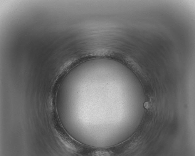 X0000068310636200604281736