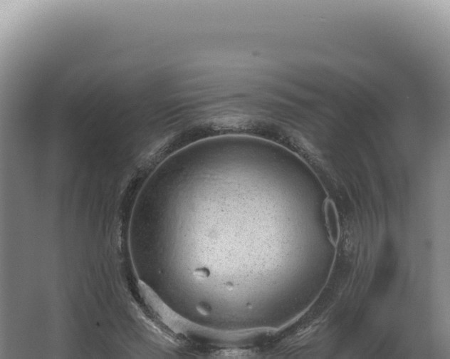 X0000068310637200604281736