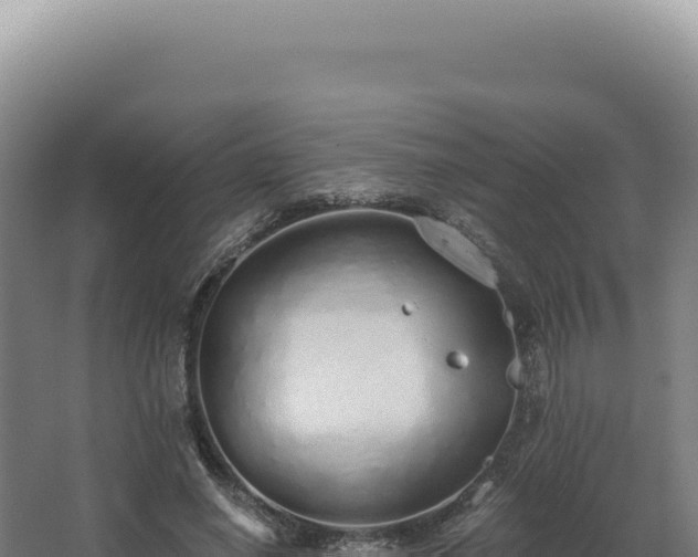 X0000068310638200604281736