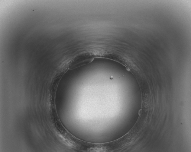 X0000068310639200604281736