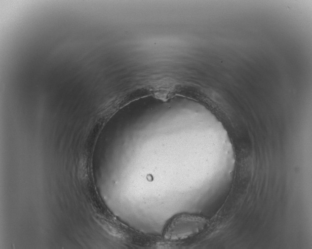 X0000068310641200604281736