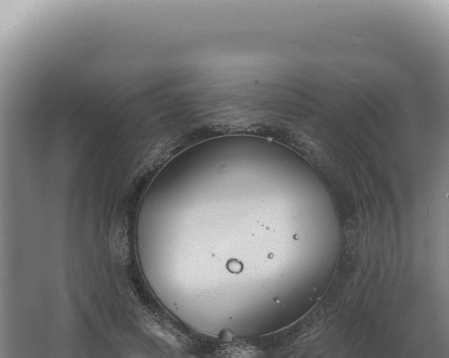 X0000068310642200604281736