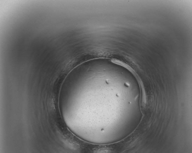 X0000068310643200604281736