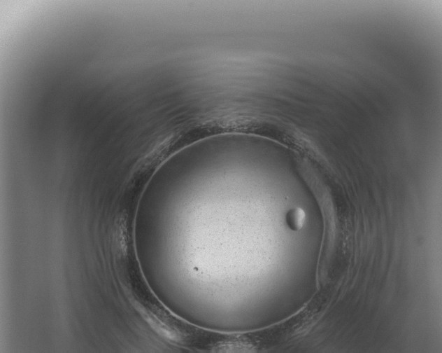 X0000068310644200604281736