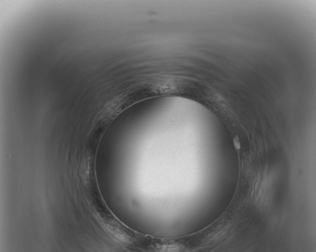 X0000068310645200604281736