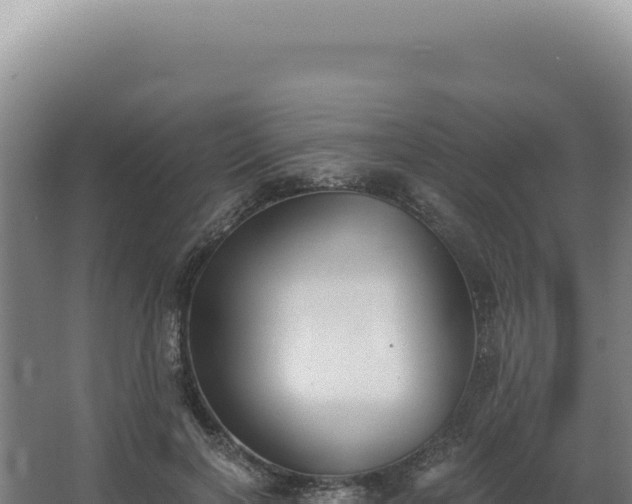 X0000068310646200604281736