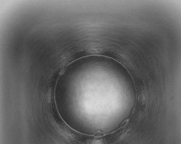 X0000068310647200604281736