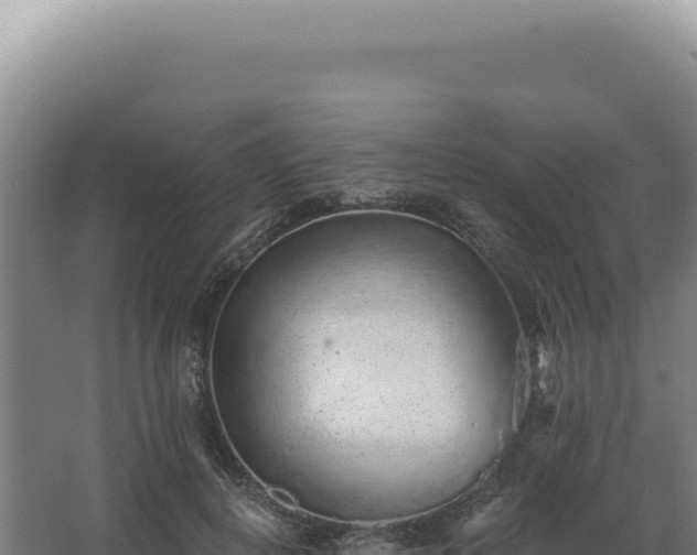 X0000068310648200604281737