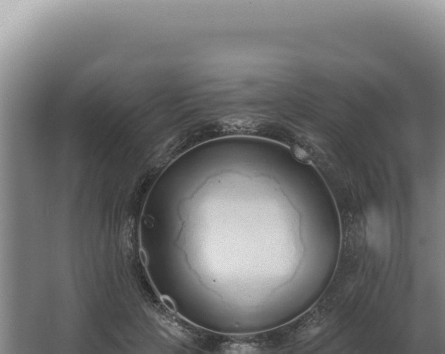 X0000068310649200604281737