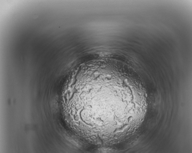 X0000068310650200604281737