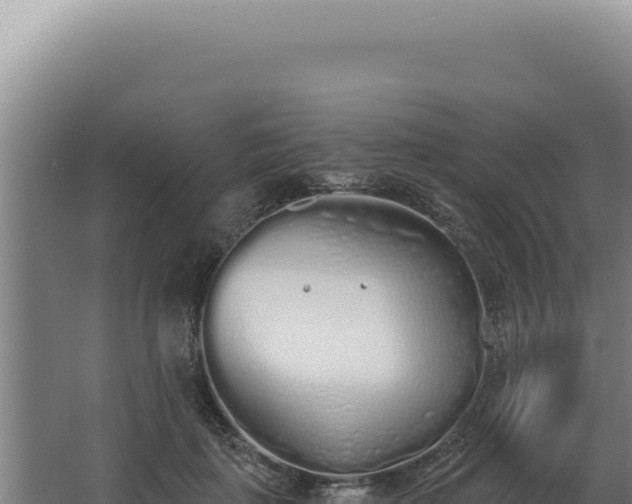 X0000068310651200604281737