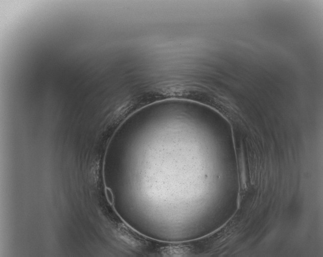 X0000068310652200604281737