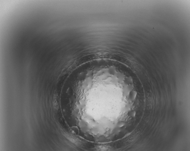 X0000068310654200604281737