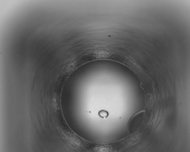 X0000068310655200604281737