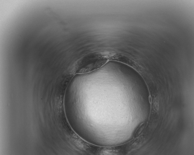 X0000068310657200604281737