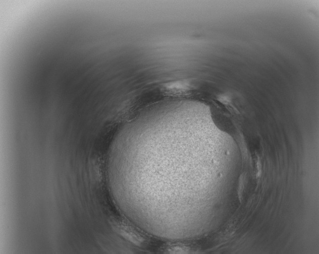 X0000068310658200604281737