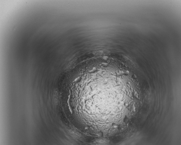 X0000068310659200604281737