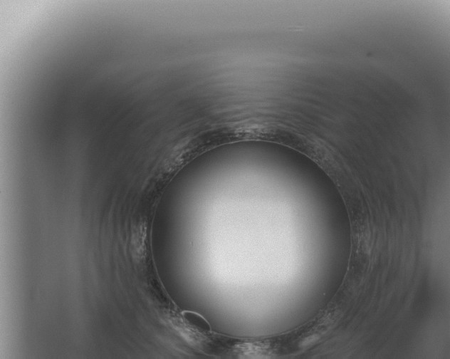 X0000068310660200604281737