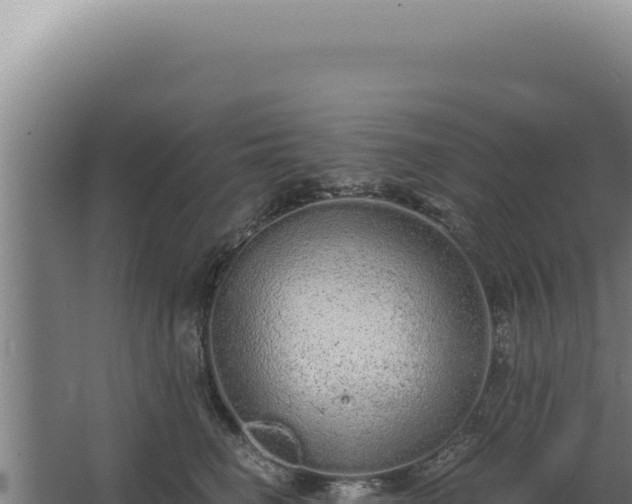 X0000068310662200604281737