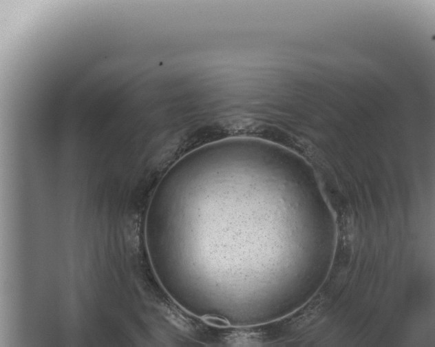 X0000068310664200604281737