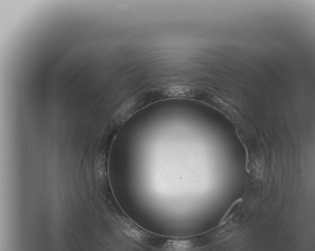 X0000068310665200604281737