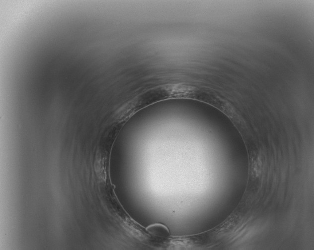 X0000068310666200604281737