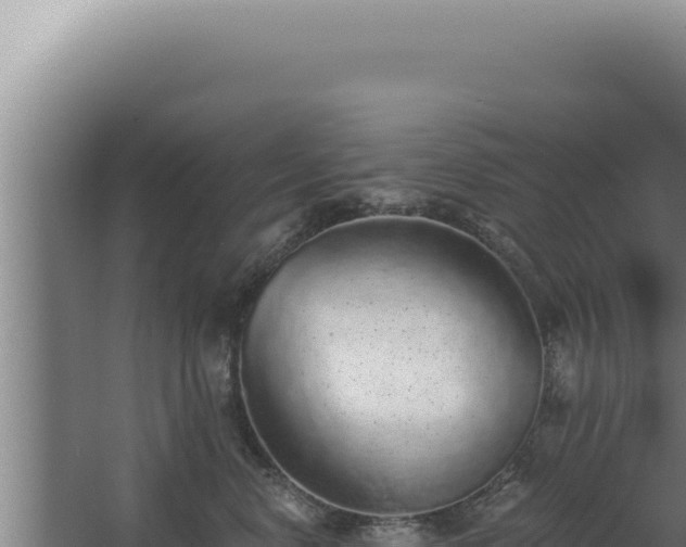 X0000068310668200604281737