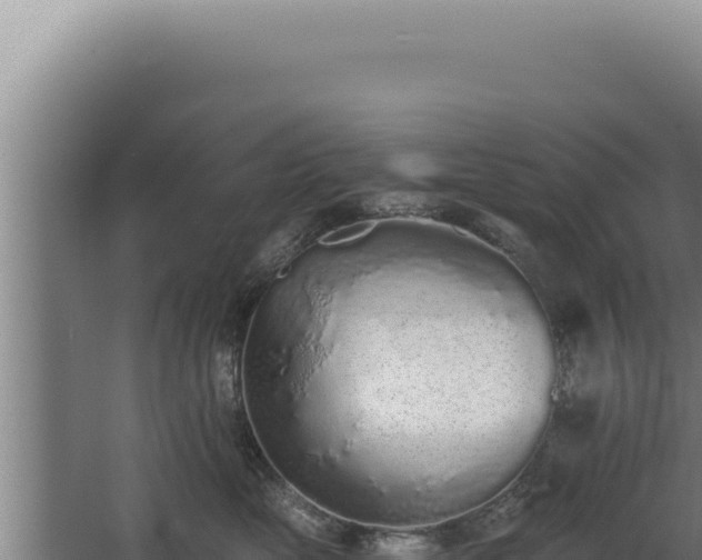 X0000068310669200604281737